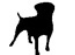 Symbol 13