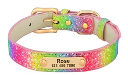 Regenbogen