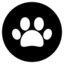 Symbol S29