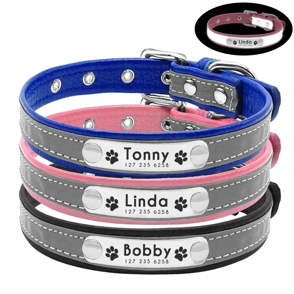Personalisiertes Hundehalsband mit Gravur – Name & Telefonnummer