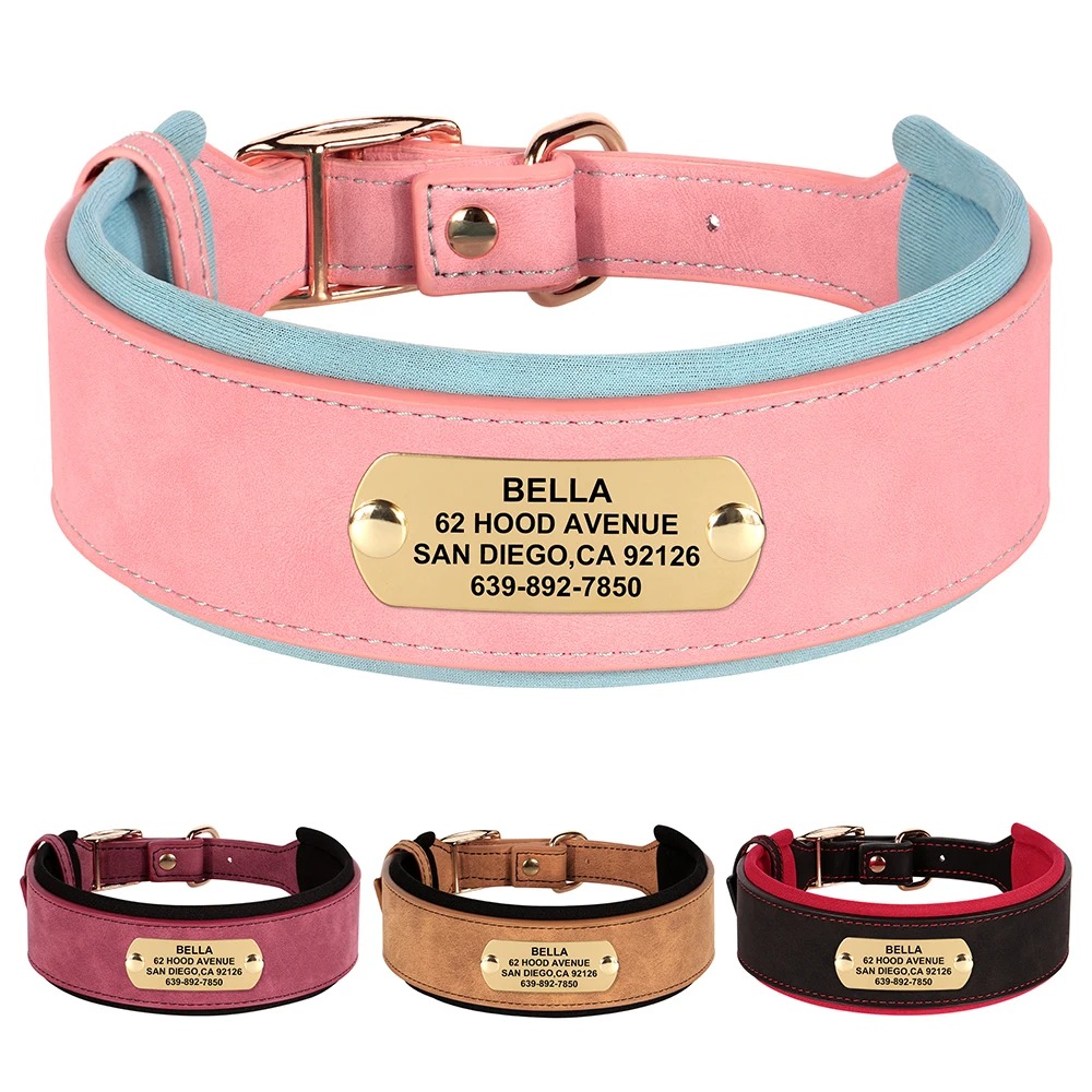 Personalisiertes Lederhalsband mit Gravur – Hundehalsband mit Name, Adresse & Telefonnummer
