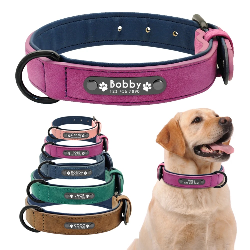 Personalisiertes Leder-Hundehalsband mit Textgravur – Wunschtext & Name